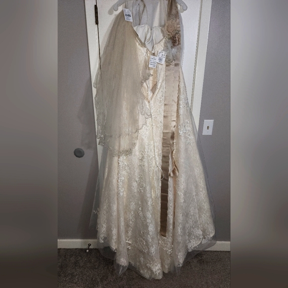 Wedding Dress - NWT Jewel by David's Bridal - Picture 3 of 11